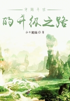穿越異世的升級之路在線閱讀