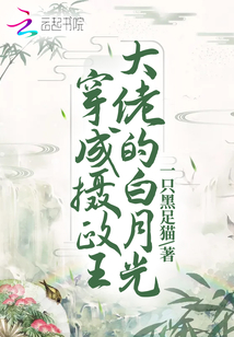 穿成攝政王大佬的白月光