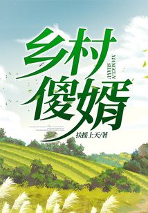 鄉村傻婿
