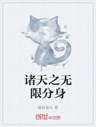 诸天之无限分身在线阅读
