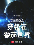 吞噬星空之穿梭在番茄世界在线阅读