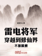 雷电将军穿越到修仙界不服就劈