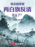 明末:我带着两白旗反清怎么了?在线阅读