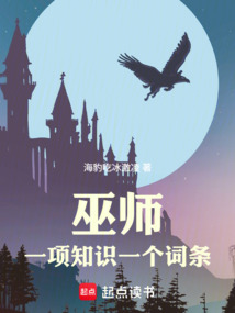 巫师:一项知识一个词条 cover
