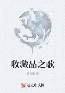 收藏品之歌