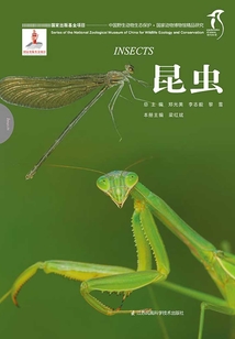 國家動物博物館精品研究：昆蟲