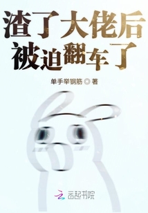 渣了大佬后被迫翻車了