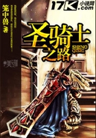 圣騎士之路在線閱讀