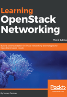 Learning OpenStack Networking在线阅读