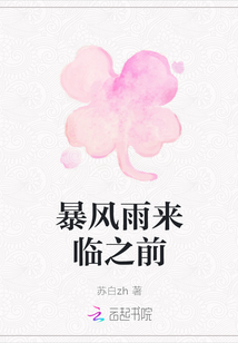 暴風雨來臨之前