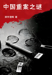中国重案之谜