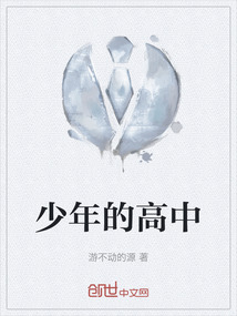 少年的高中