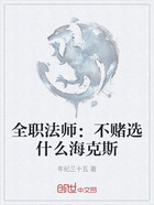 全职法师:不赌选什么海克斯在线阅读