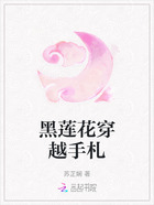 黑莲花穿越手札在线阅读
