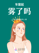车窗起雾了吗在线阅读