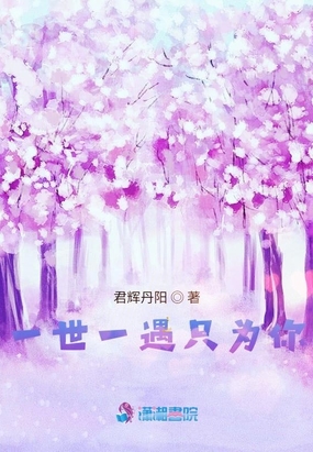 一世一遇只为你在线阅读