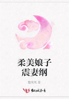 柔美娘子震妻綱在線閱讀