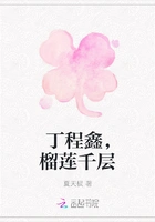 丁程鑫,榴莲千层在线阅读