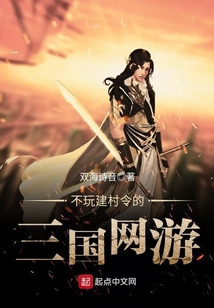 不玩建村令的三國(guó)網(wǎng)游
