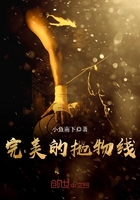 完美的拋物線在線閱讀