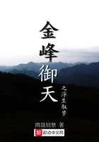 金峰御天之风起在线阅读
