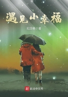 遇見小幸福在線閱讀