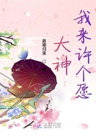 大神我來許個愿在線閱讀