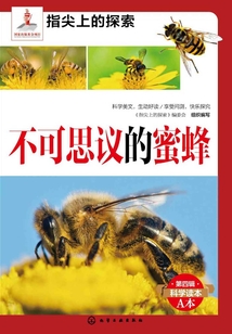 不可思議的蜜蜂