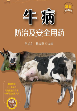 牛病防治及安全用药 封面