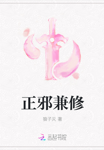 正邪兼修