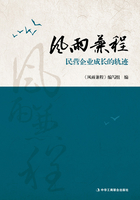 風雨兼程：民營企業(yè)成長的軌跡在線閱讀
