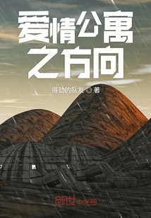 愛情公寓之方向