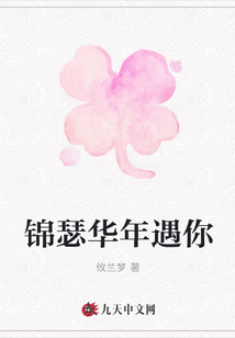 錦瑟華年遇你
