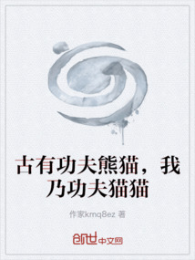 古有功夫熊貓，我乃功夫貓貓