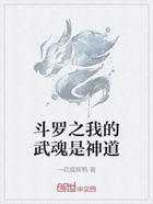 斗罗之我的武魂是神道在线阅读