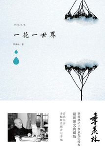 一花一世界
