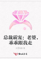 總裁霸寵：老婆，乖乖跟我走在線閱讀