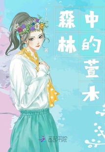 森林中的萱木
