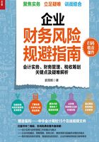 企业财务风险规避指南：会计实务、财务管理、税收筹划关键点及疑难解析在线阅读