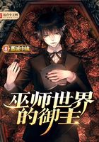 巫師世界的御主在線閱讀