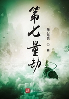 第七量劫在线阅读