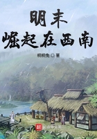 明末崛起在西南在線閱讀