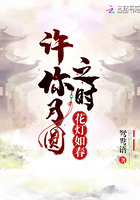 許你月圓之時花燈如春在線閱讀