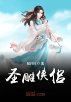 圣雕侠侣在线阅读