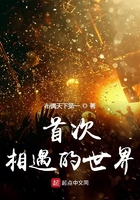 首次相遇的世界在線閱讀