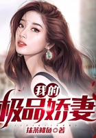 我的极品娇妻