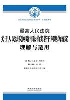 最高人民法院关于人民法院网络司法拍卖若干问题的规定理解与适用在线阅读