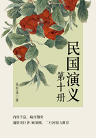 蔡东藩经典历史小说:民国演义(10)在线阅读