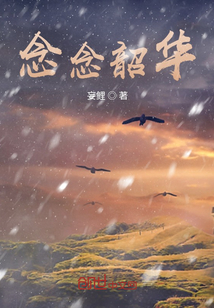 念念韶華