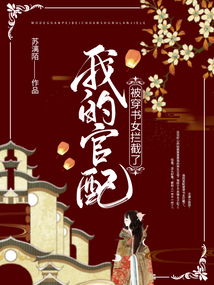 我的官配被穿书女拦截了